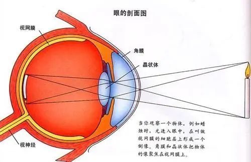 兰州爱尔姚慧院长科普：做了近视手术就可以一劳永逸吗？(图1)