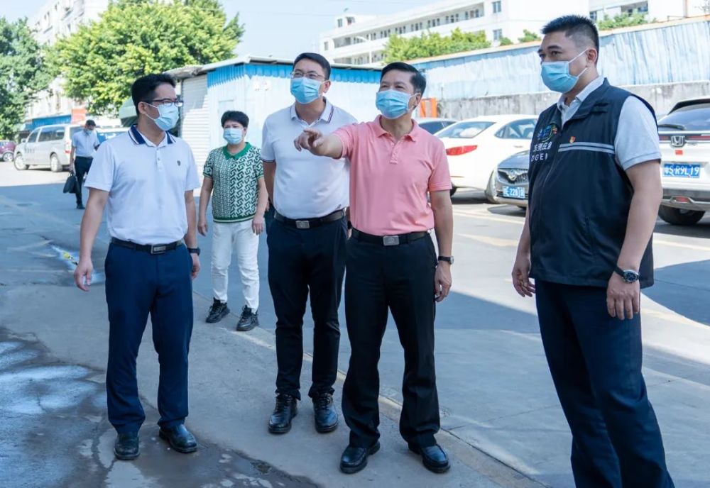 镇委副书记林海鹏,镇委委员谢文达及有关部门单位,土桥村负责人等一同