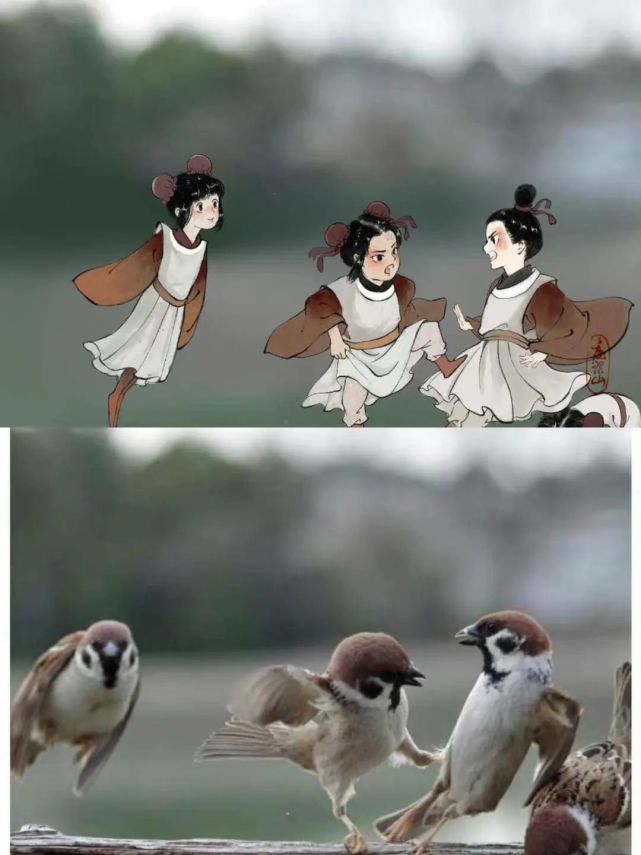 "小鸟拟人画"火出圈!竟是练手作品