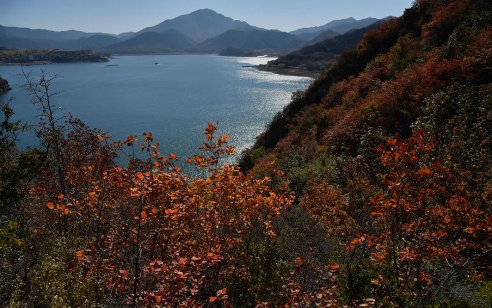 熱浪來襲！歐洲多國猝不及防java快速入門2023已更新(今日/知乎)廣西最新一批違法領導