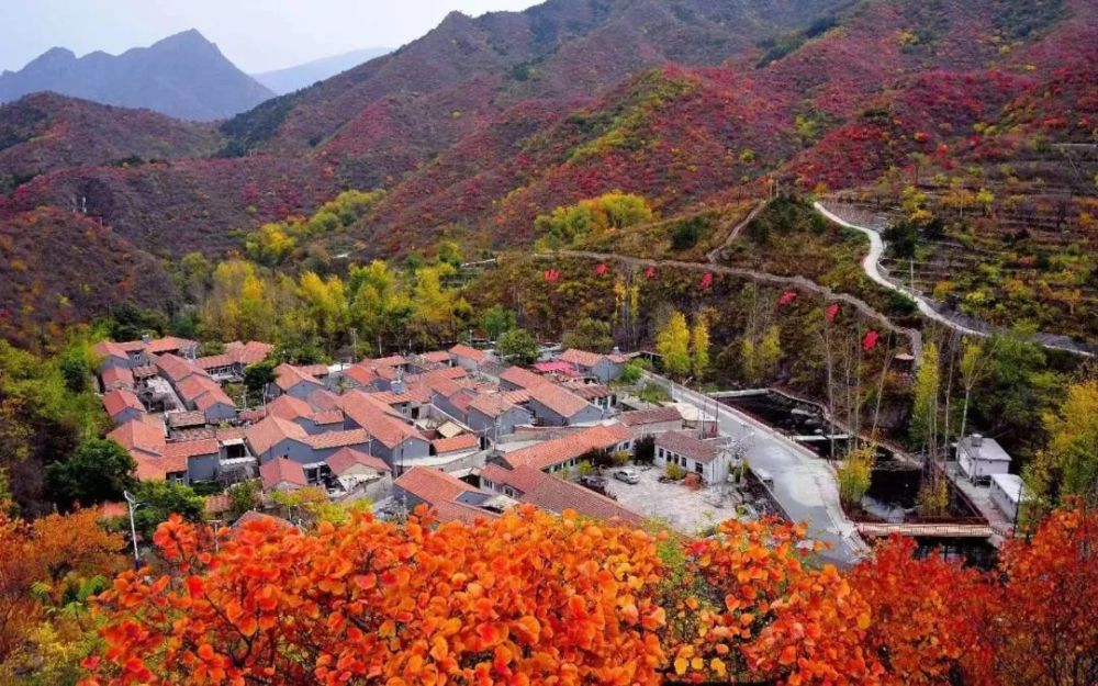 秋天到了，在北京的你打算去哪儿看红叶？弹珠冲击