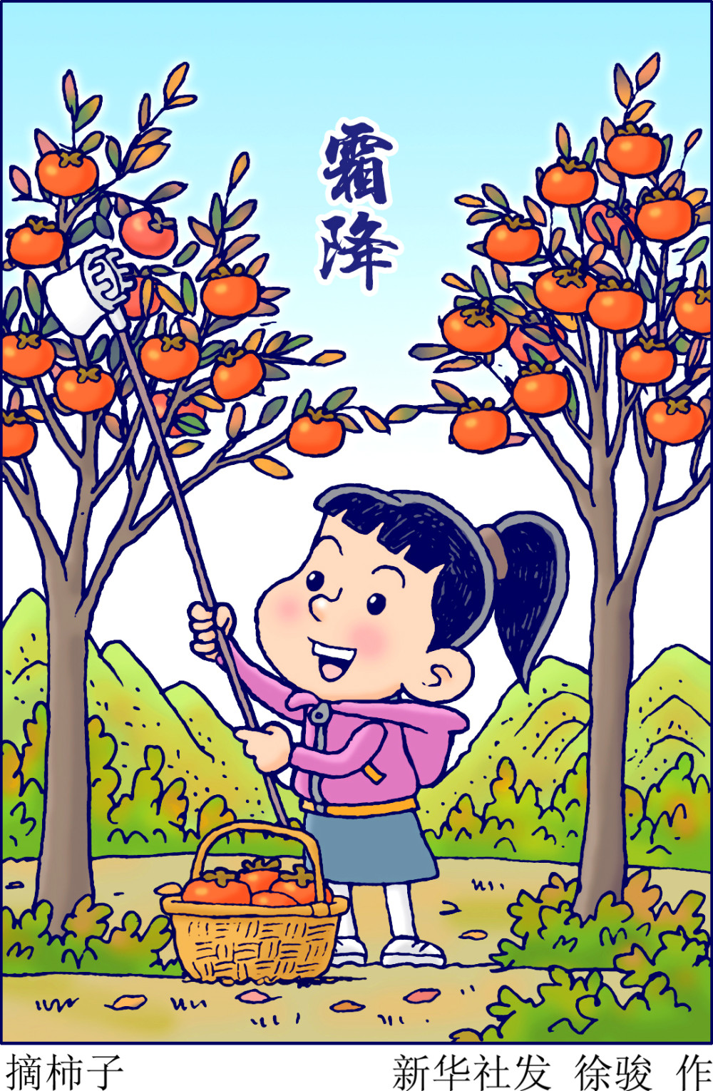 (图表·漫画)〔二十四节气·霜降〕摘柿子