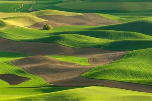 地理知识汇总——世界十大丘陵排名_腾讯新闻