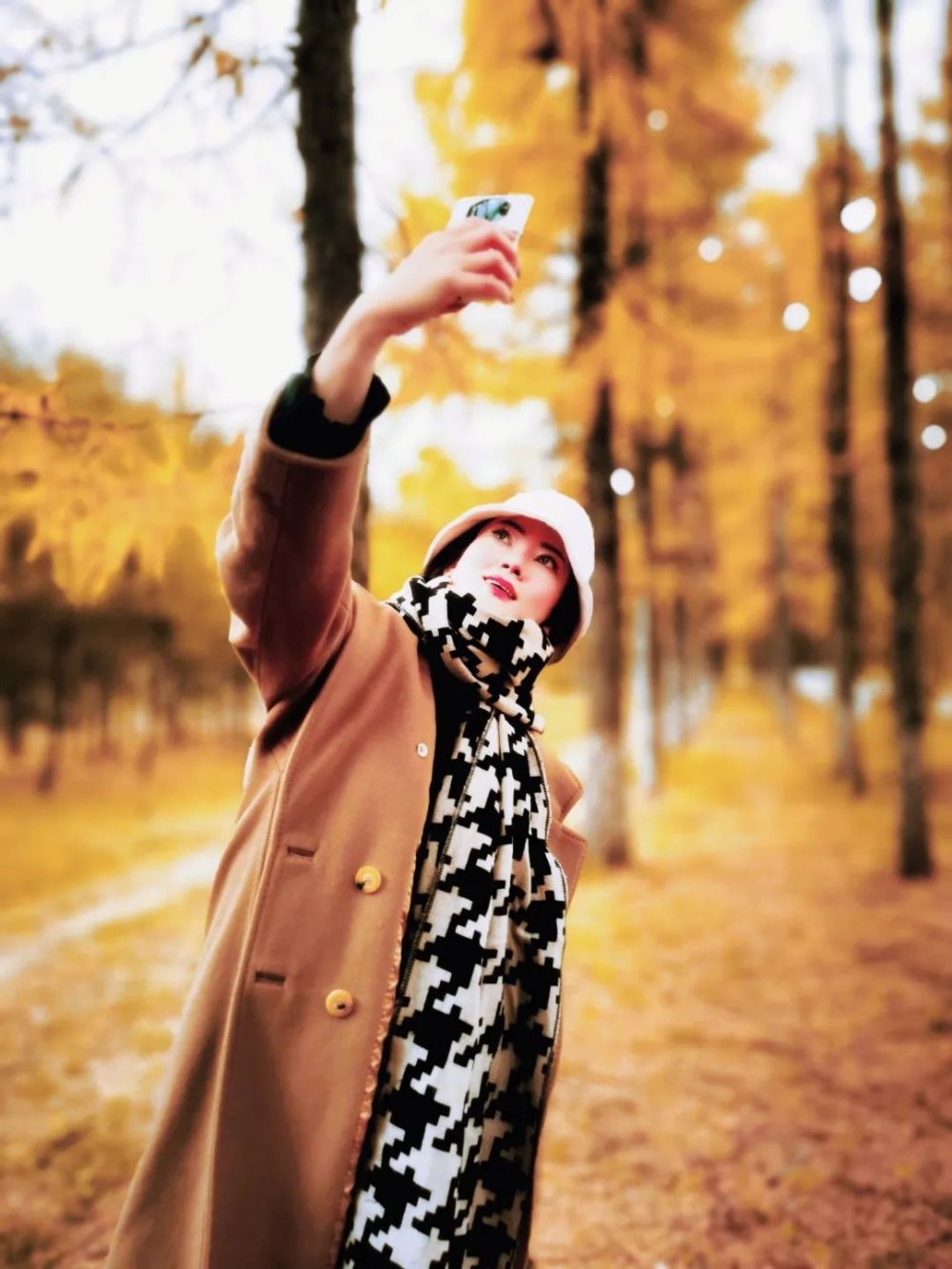 百木园位于前进大街与南三环交会处,公园占地面积18公顷,是以树木造园