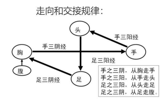 十二经络走向和交接规律,流注次序扶阳三式,为"助阳驭神",用手法按揉