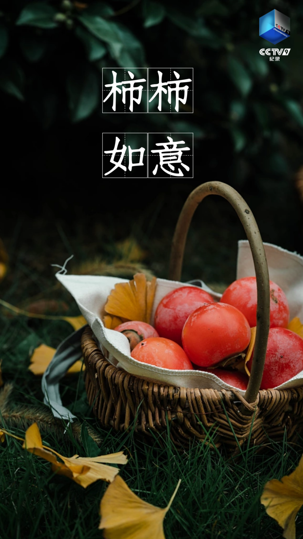 吸溜……好"柿"发生了!_腾讯新闻