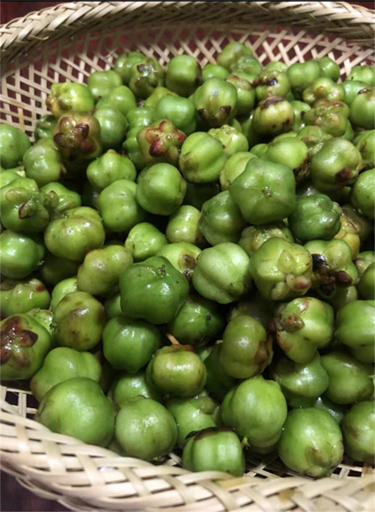 云南当地人介绍这种鼻涕果味道甜黏像蜂蜜吸溜一口好过瘾