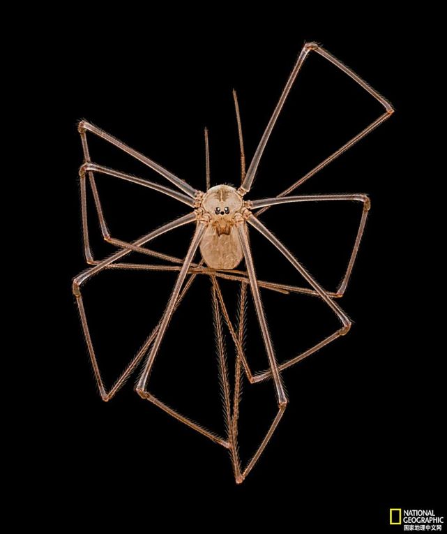 这些震撼微观世界图,没看过太遗憾