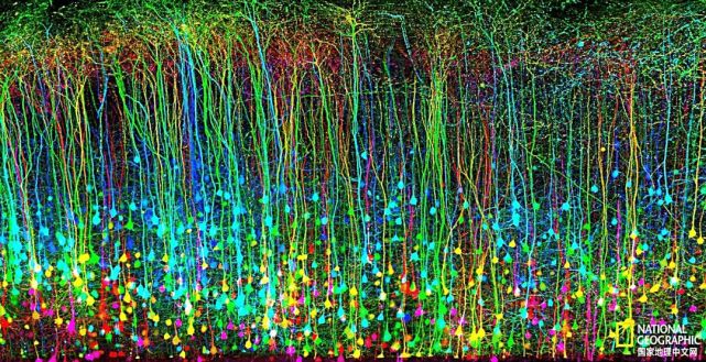 这些震撼微观世界图,没看过太遗憾