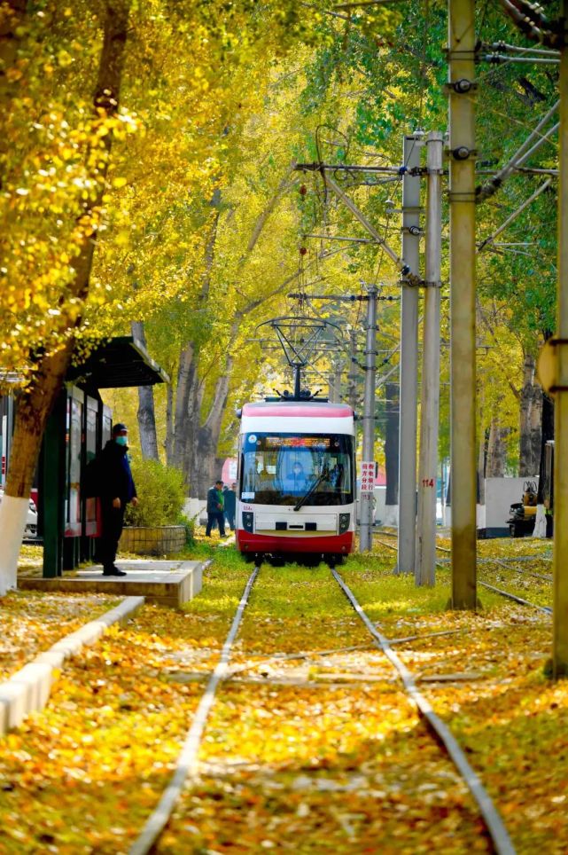 入镜《人世间》的长春54路有轨电车高颜值路段,成今秋新网红_腾讯新闻