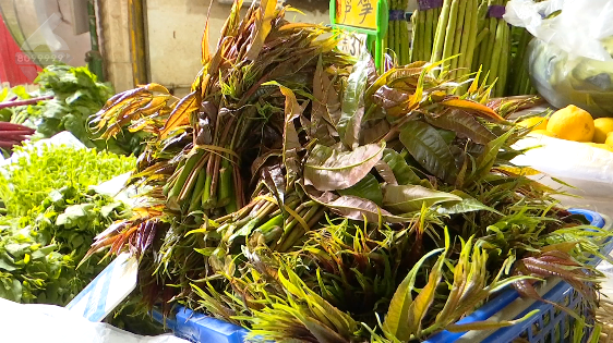 云南这个"春菜",秋天也能吃上!