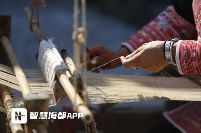 巧手织出“畲女情怀”，海都记者带你走近非遗畲族苎布织染缝纫技艺_腾讯新闻