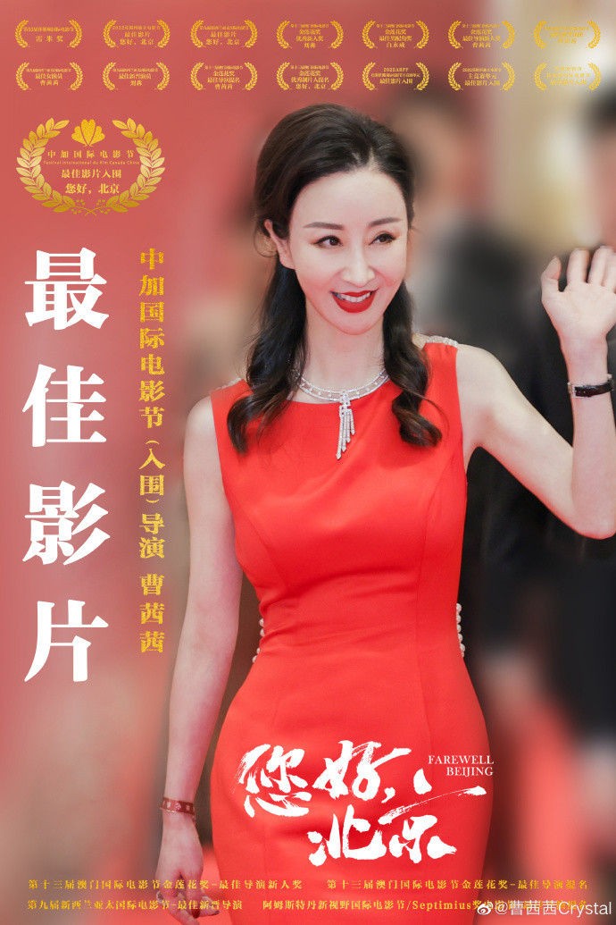 曾参演过电视剧《新还珠格格》,新版《三国演义》,《红色利剑》等作品