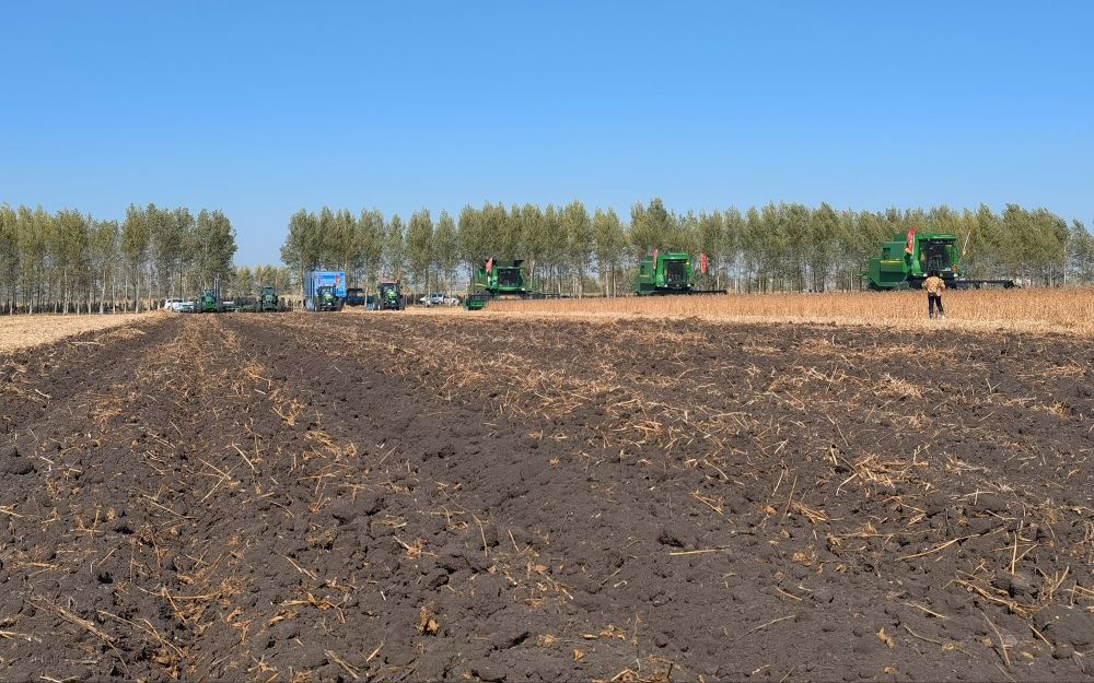 黑龙江海伦 大豆之乡的扩种之路_腾讯新闻