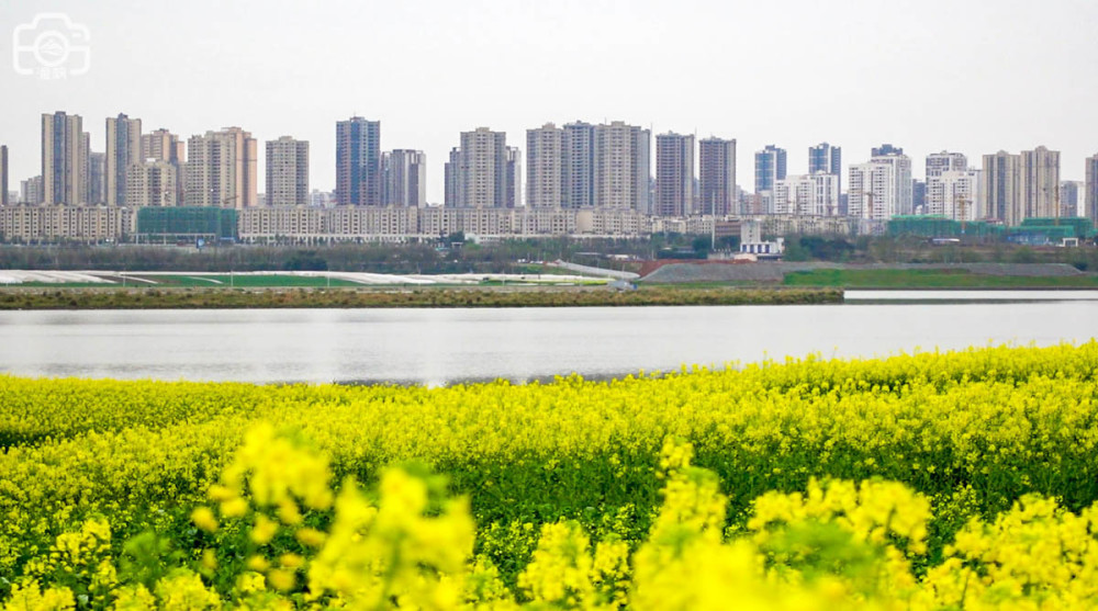 游乐设施等功能场地,同时又有极为漂亮的涪江景观,对岸是潼南城区繁华