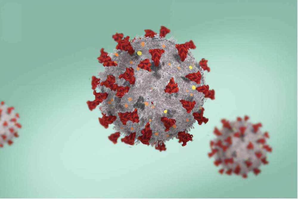 变异新冠毒株在美国涌现传染性极强拜登要求民众接种新疫苗