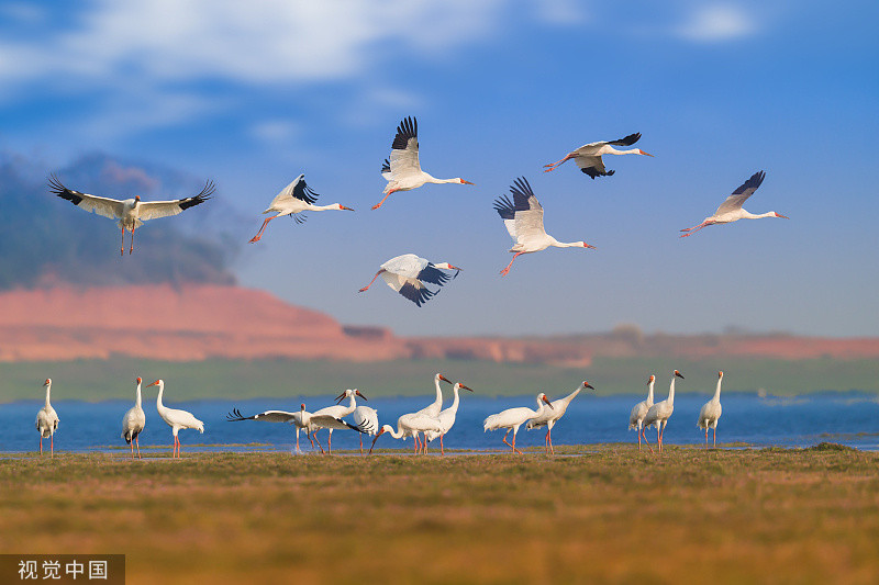 有群众进入区内游玩 管理局:禁止未经批准进入鄱阳湖国家级自然保护区