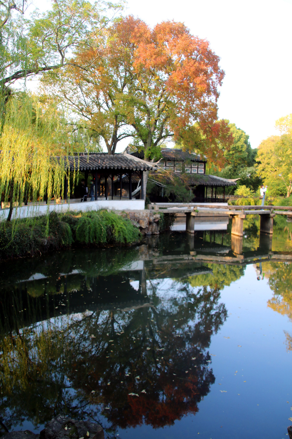 江苏苏州古典园林拙政园色彩斑斓秋色渐浓