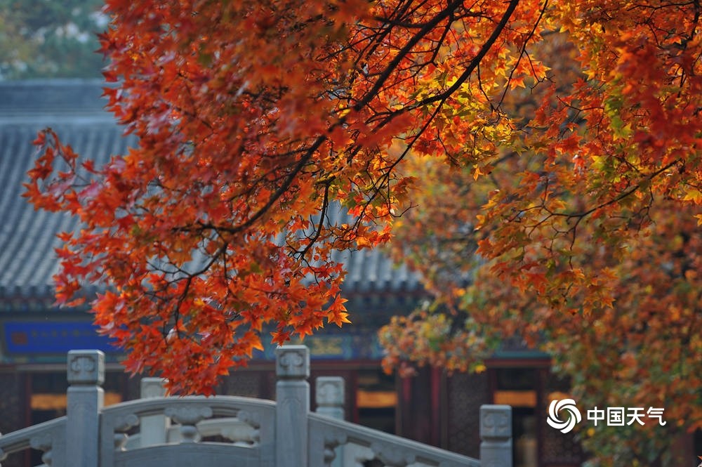 香山秋色,五彩斑斓图片