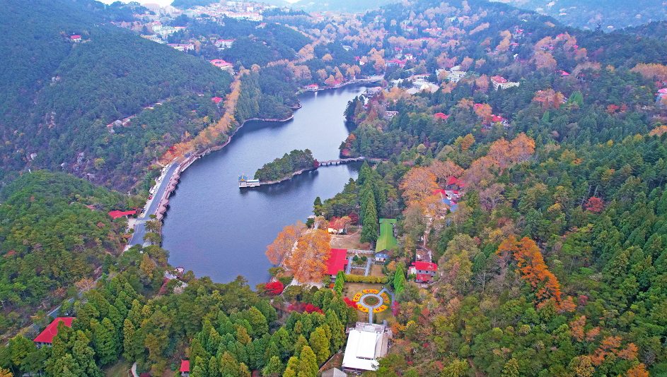 如琴湖上波光潋滟晴方好,花径公园石拱桥旁鸡爪槭一树独红,在秋日艳阳