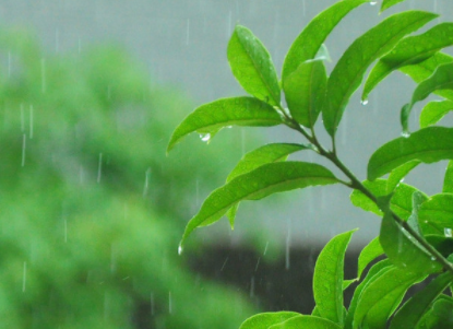 江西北部有小雨