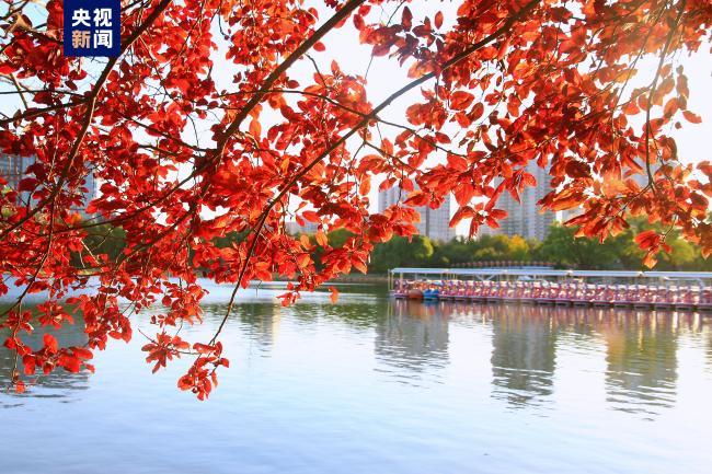 北京通州新增2例确诊，风险点位公布，涉北京环球度假区等地
