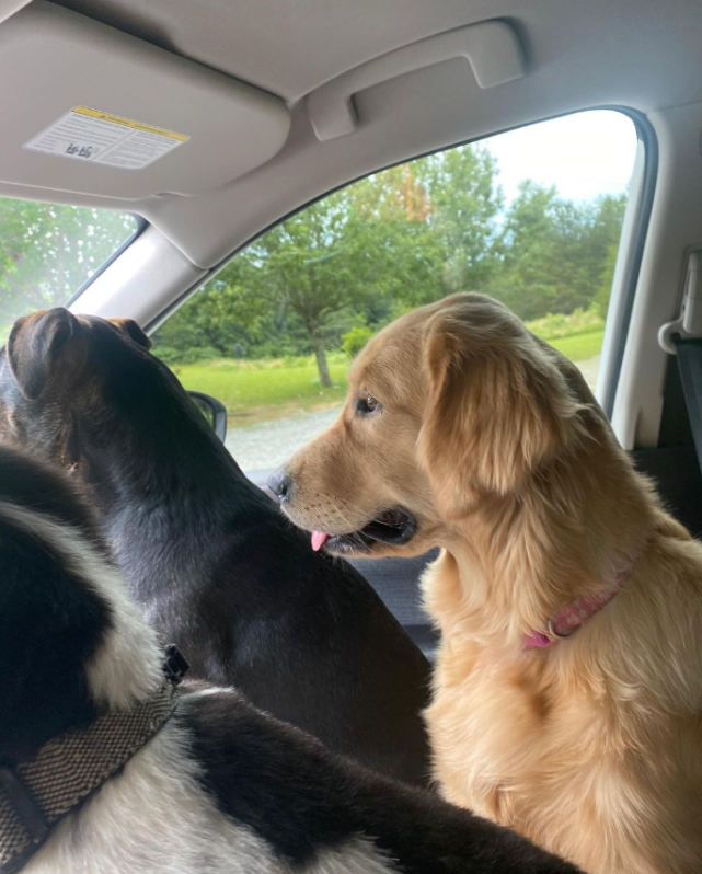 而且还是那种超级明显,板上钉钉的证据!