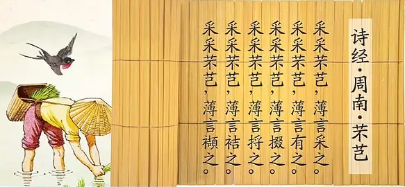 【文史英华】采采芣苢‖许永强_腾讯新闻