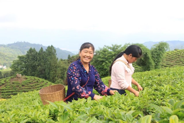 2022年度全国最美家乡人评选结果出炉云南李桂科当选全国二十佳