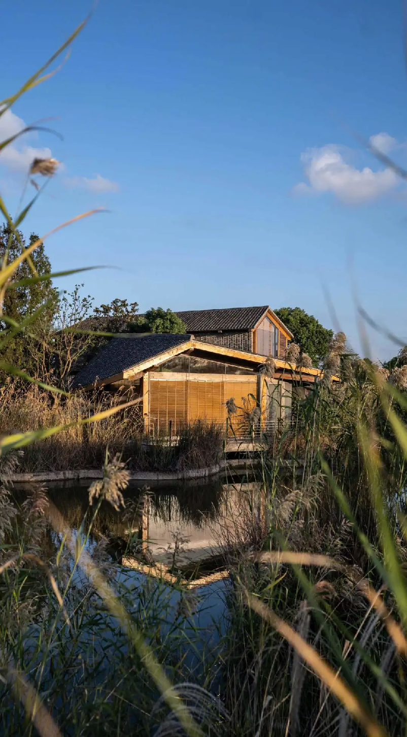 "千镇一面"的发展困境,而在岁月流淌中安然静好的横沔古镇则"幸运"的