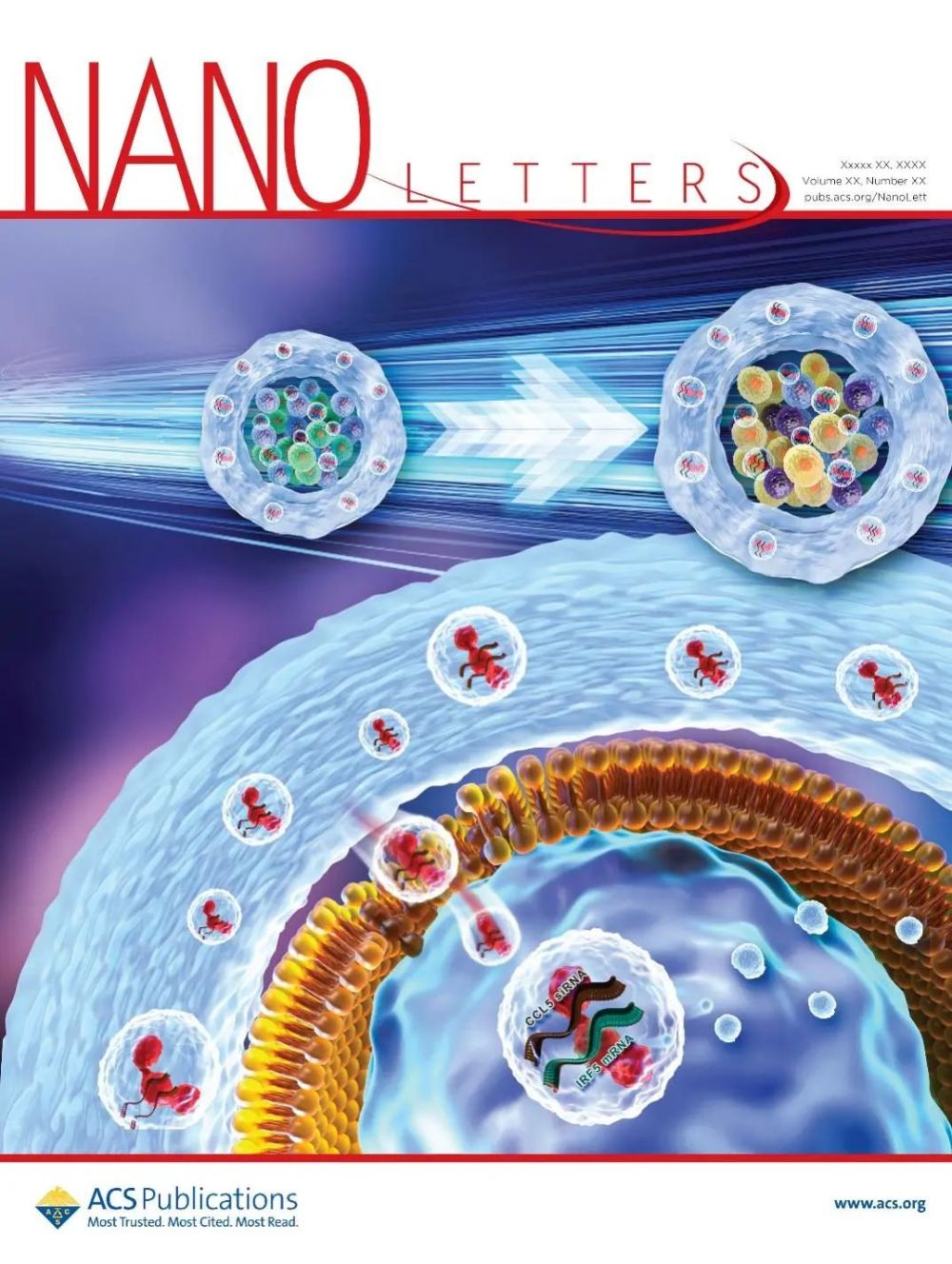 任贺/聂广军/赵潇开发装载rna-脂质体纳米颗粒药物的