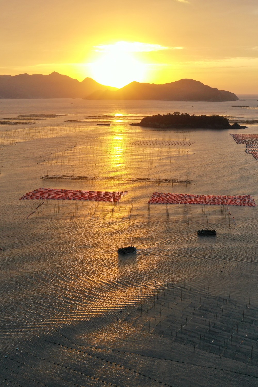 渔船沐浴霞光,行驶在福建省霞浦县三沙镇海上养殖区(无人机照片)