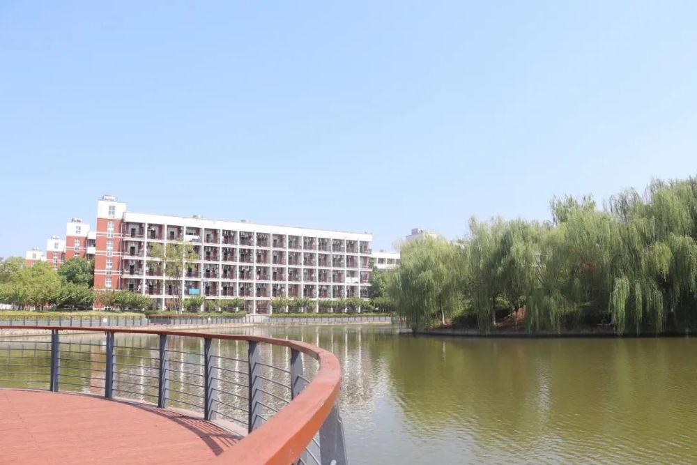 【校招信息】合肥市肥东锦弘中学小学,初中,高中大量岗位招聘公告