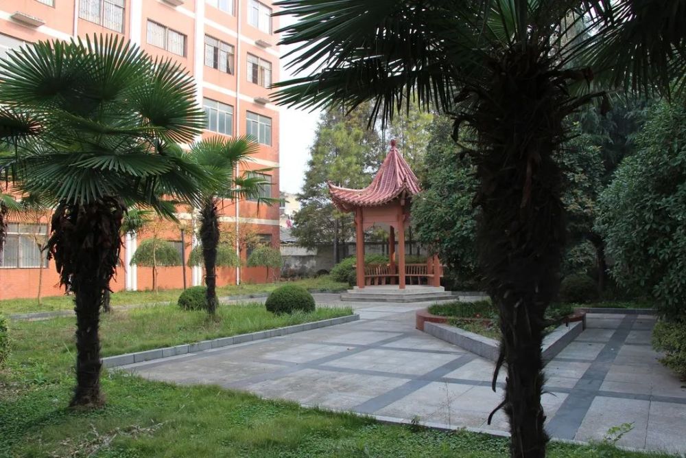 【校招信息】合肥市肥东锦弘中学小学,初中,高中大量岗位招聘公告