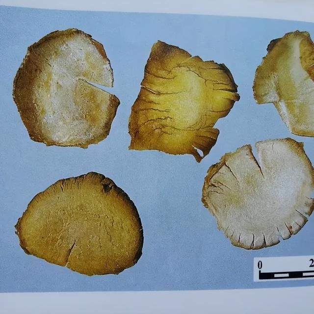 鹅内金鸭内金使用注意事项鸡内金的成人常用量为每日3～10克,小儿酌减