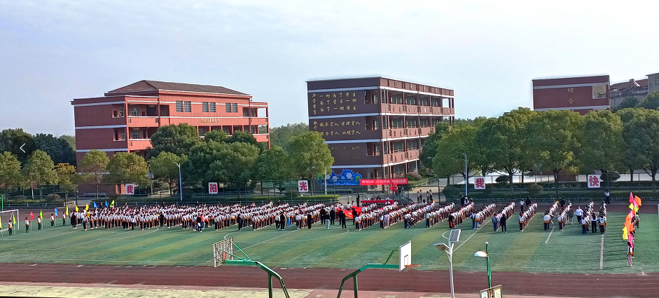 大岗中心小学举办第二届体育节_腾讯新闻