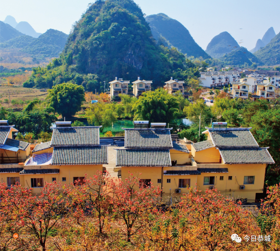 不要错过一年一度的恭城月柿节来了