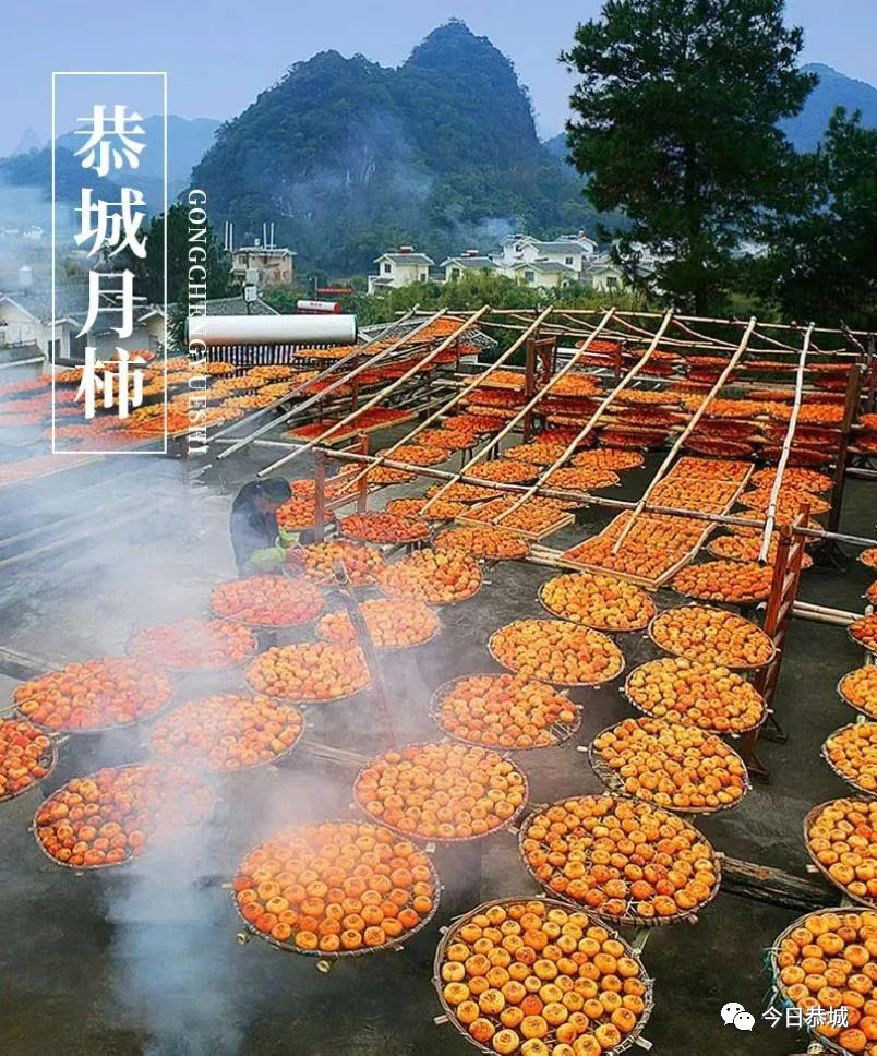 第十九届桂林恭城月柿节活动总体方案来了_腾讯新闻