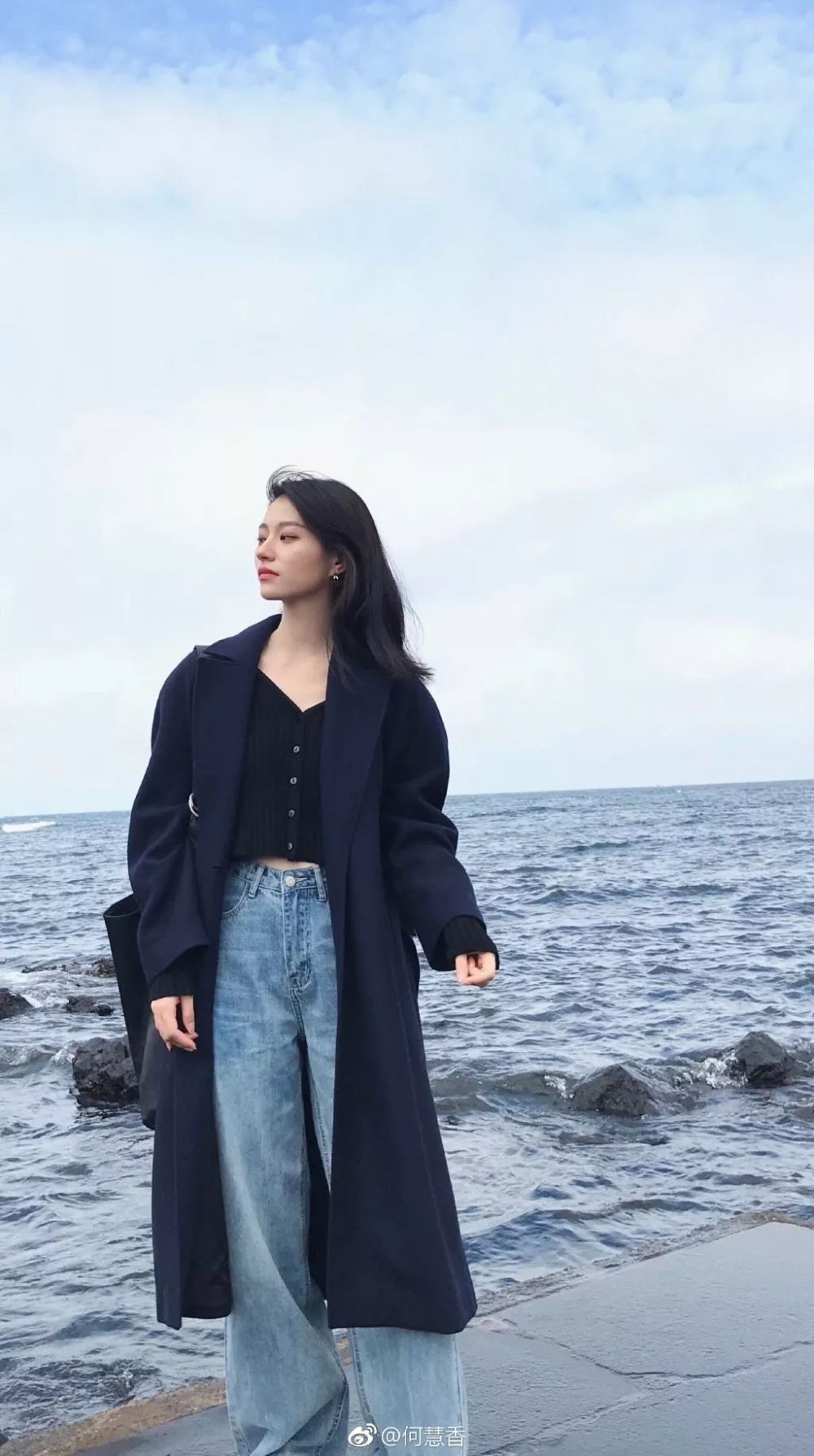 何慧香是港风美女,长相大气又带点厌世感.