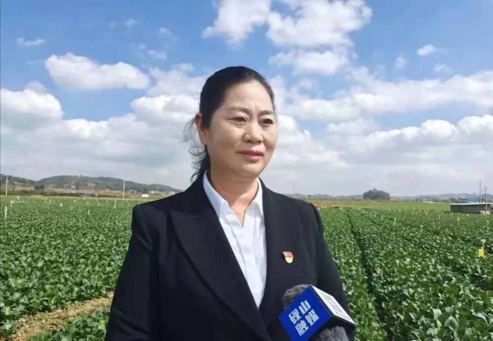 全国优秀党务工作者刘仙把党的好声音送到群众心坎上