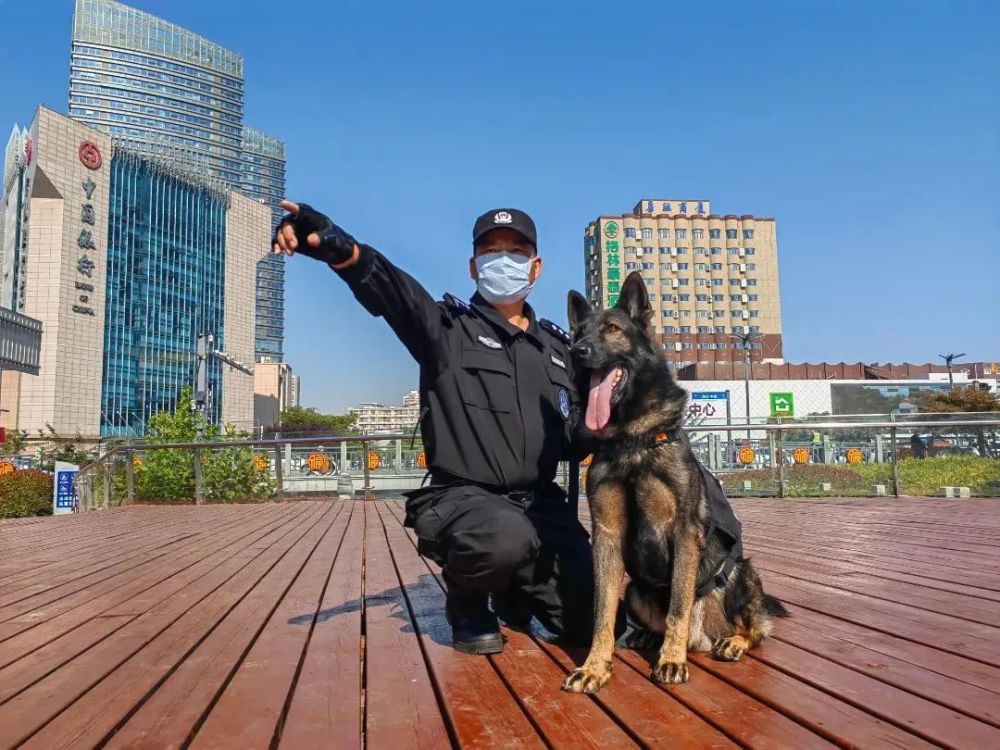 战狼天狼壮壮帅酷警汪上线街面巡防再添硬核战力