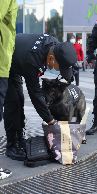 "战狼""天狼""壮壮"……帅酷"警汪"上线,街面巡防再添"硬核战力"!