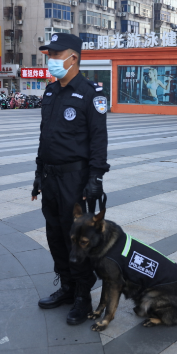 "战狼""天狼""壮壮"……帅酷"警汪"上线,街面巡防再添"硬核战力"!