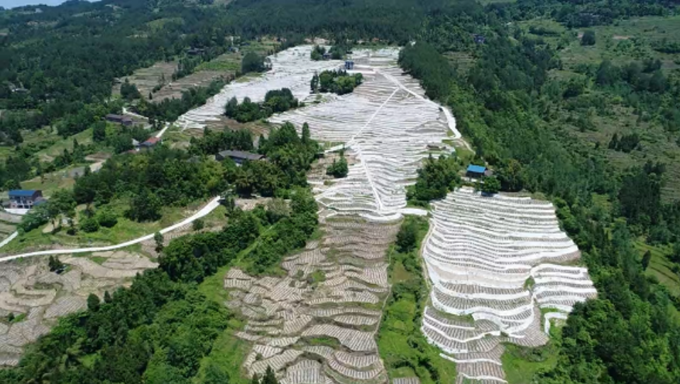 重慶發佈2021年水土保持公報水土流失面積和強度保持雙下降趨勢