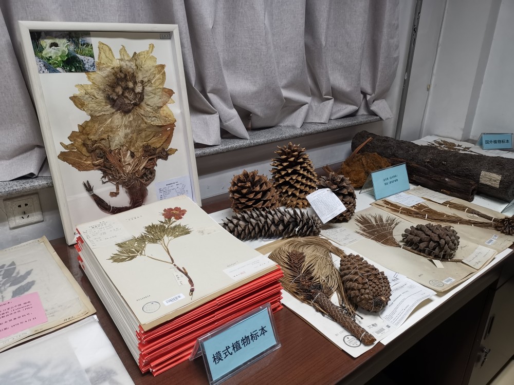 中科院科学节北京主场活动开幕,公众走进亚洲最大植物标本馆-腾讯新闻