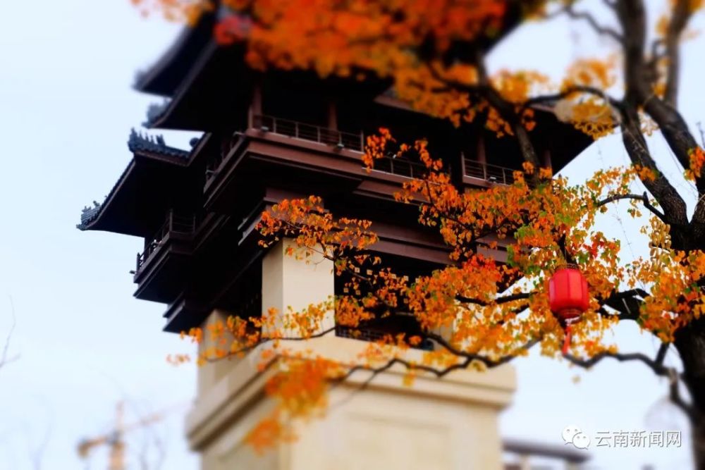 行摄云南秋城秋意浓
