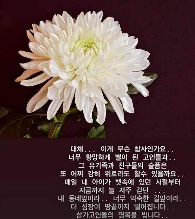 韩国组合f(x)成员朴善怜转发了带有玫瑰图案的哀悼动态,希望逝者安息