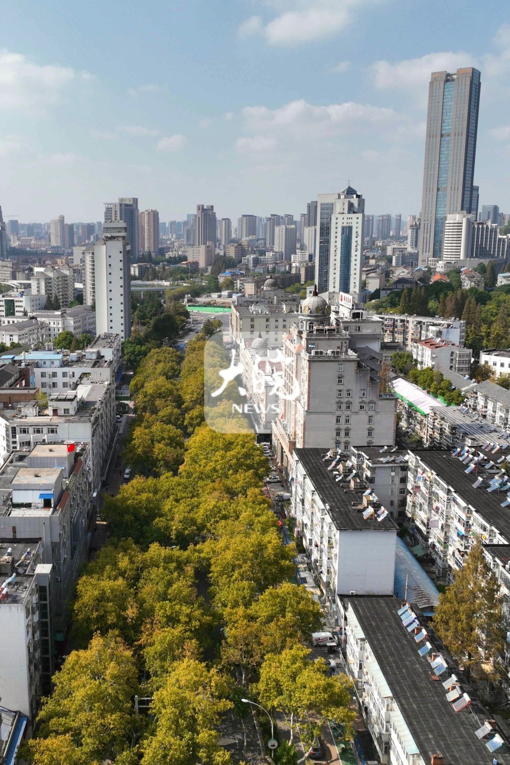 航拍|深秋时节 合肥芜湖路秋景宜人_腾讯新闻
