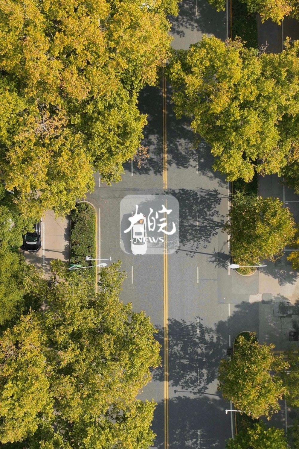 航拍|深秋时节 合肥芜湖路秋景宜人