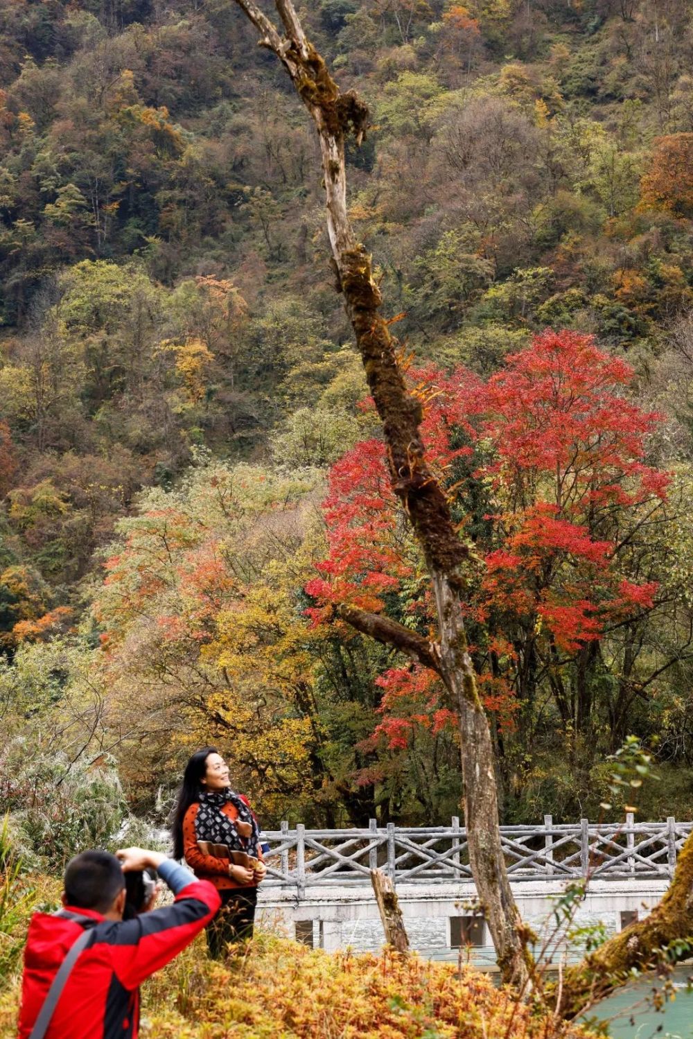 像大西北,西藏這些地方,我覺得我們四川的風景也不輸,就比如喇叭河